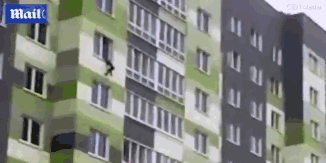 冠<昊>生物：截至20<2>5年11月20日股东总户数为29645户