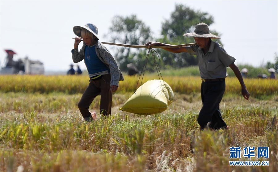 信—通电子业绩首现下滑，三季报应收款项达5.79亿元