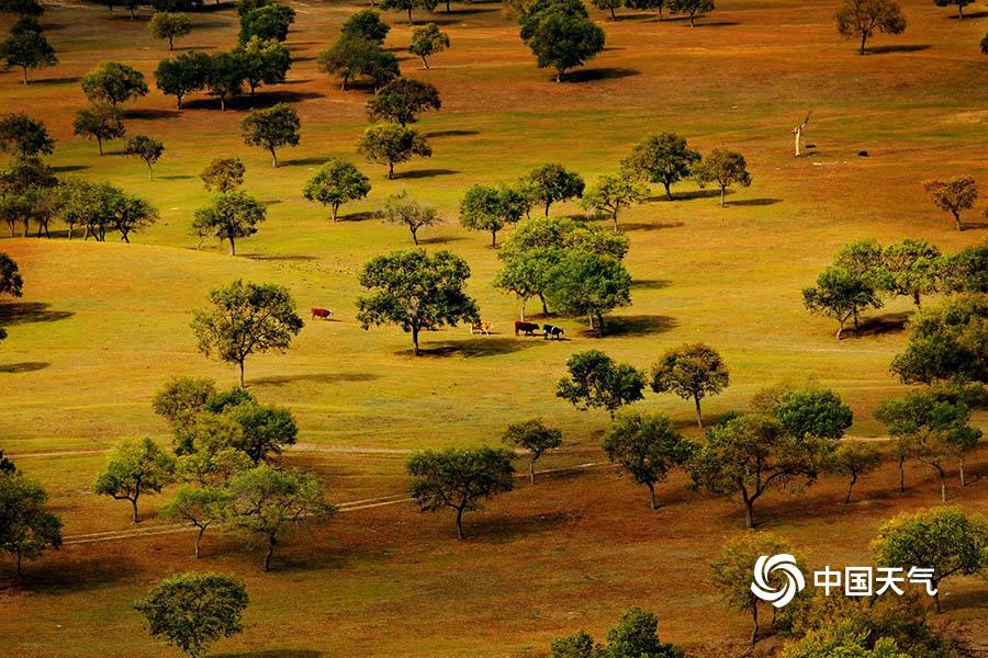 2.025年1-!8月长沙房地产企业销售业绩top20