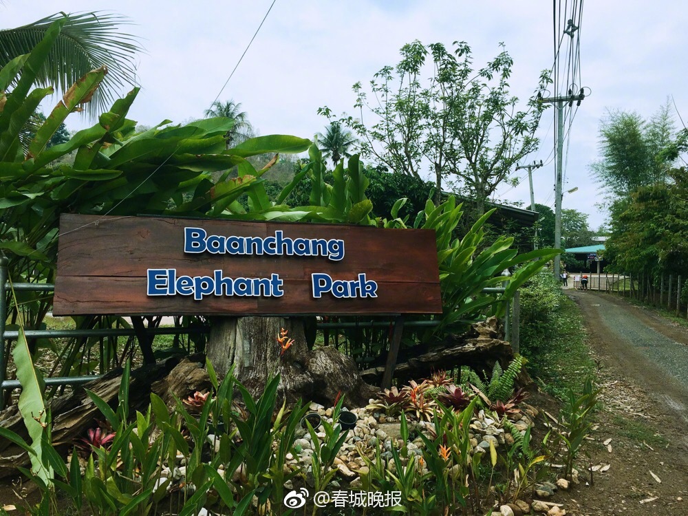 l—ucid三?季度交付未达目标，但生产势头持续增强