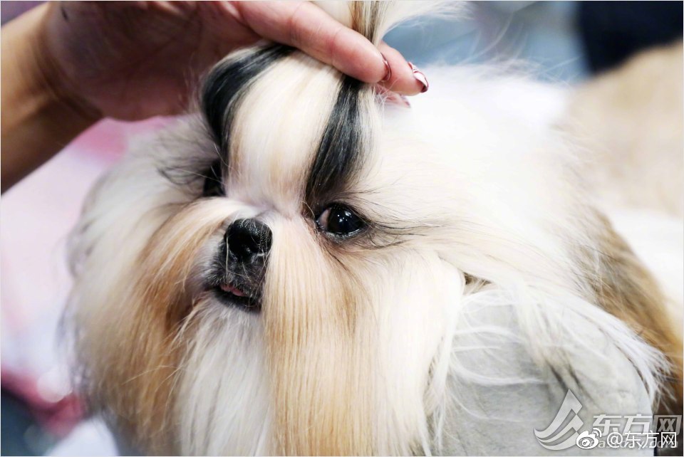 现货!黄金史<上>首次突破4200美元/盎司关口