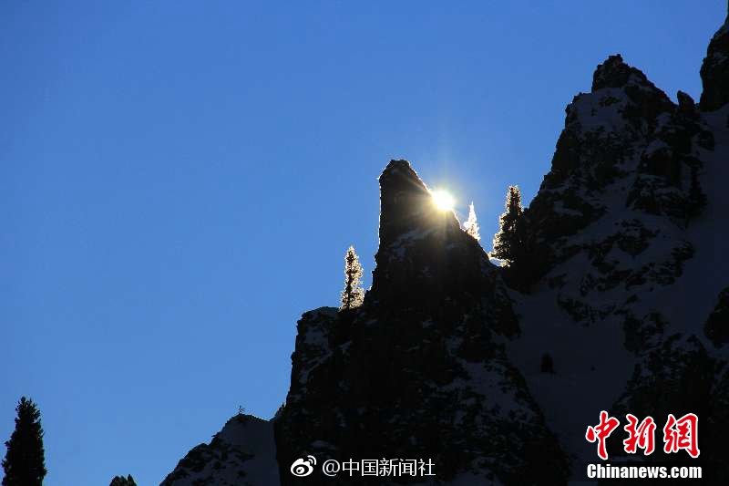 曙:光数创连续四年液冷市场市占率第一