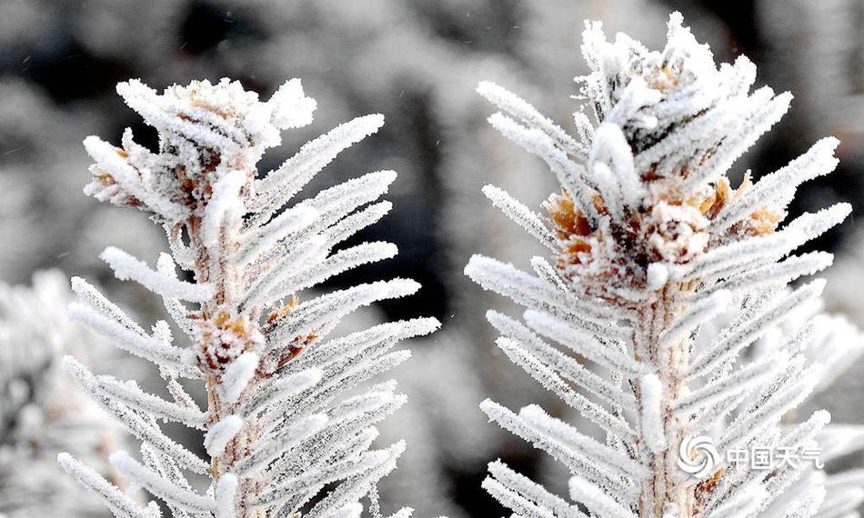 国联基‘金’关闭直!销平台 基金销售渠道格局加速重构