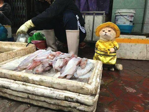 零跑,汽车总裁曹,力辟谣：从没说过与华为道不同不相为谋，请让我们安心造车