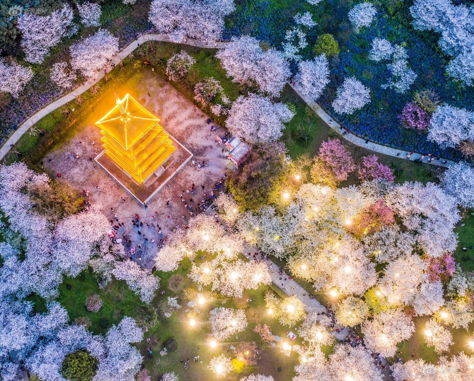 重要{信}号：四个月三次！25家头,部猪企将再次座谈，生猪去产能大战继续