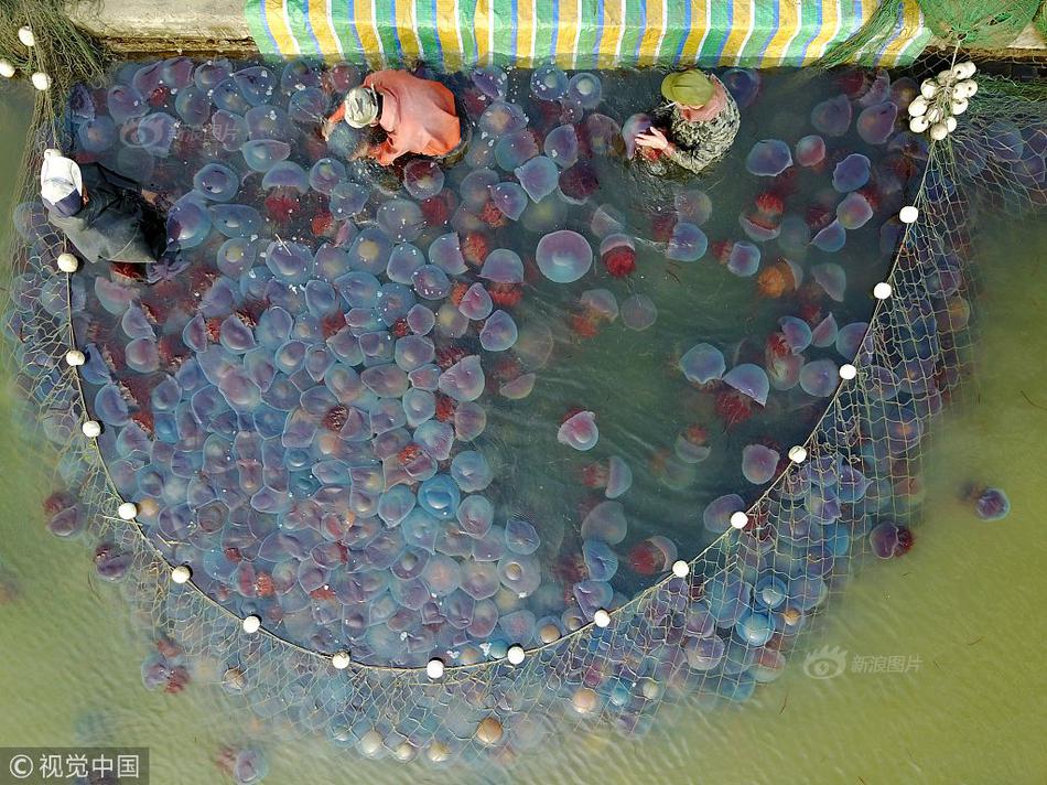 华!为柔光屏技术将迎重大升级，新品或搭载超清护眼云晰柔光屏！