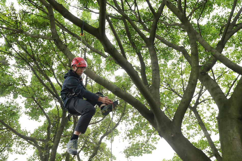 获迪士尼入股2%{、}联手打?造漫画平台 webtoon盘后股价一度飙涨近90%