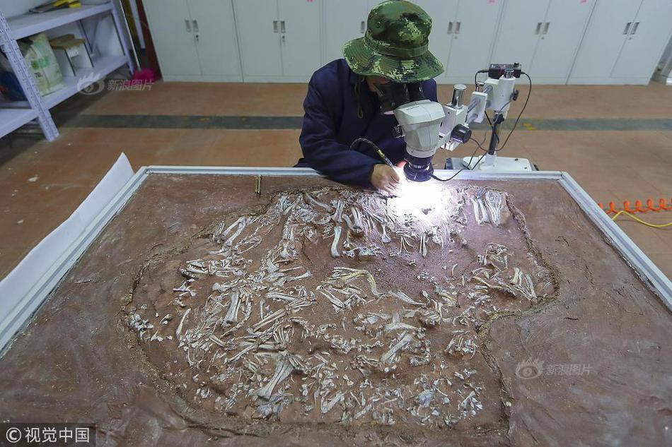 阿{里}云;收入增速创新高，大模型在产业端加速落地