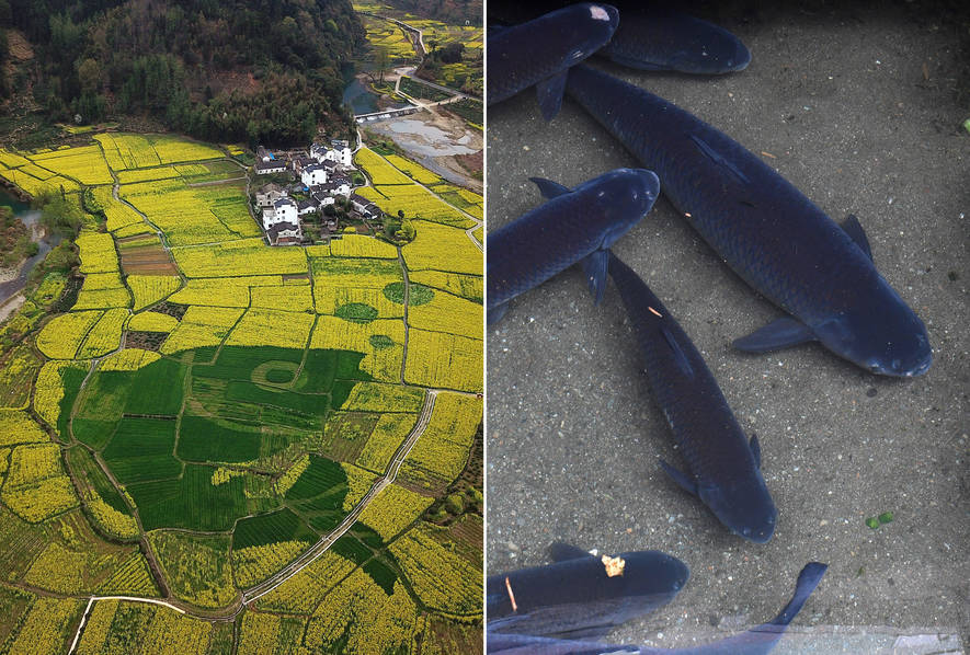 张工赴{重}点企业:调研，强调要聚焦高质量发展首要任务，倾心倾力服务企业发展