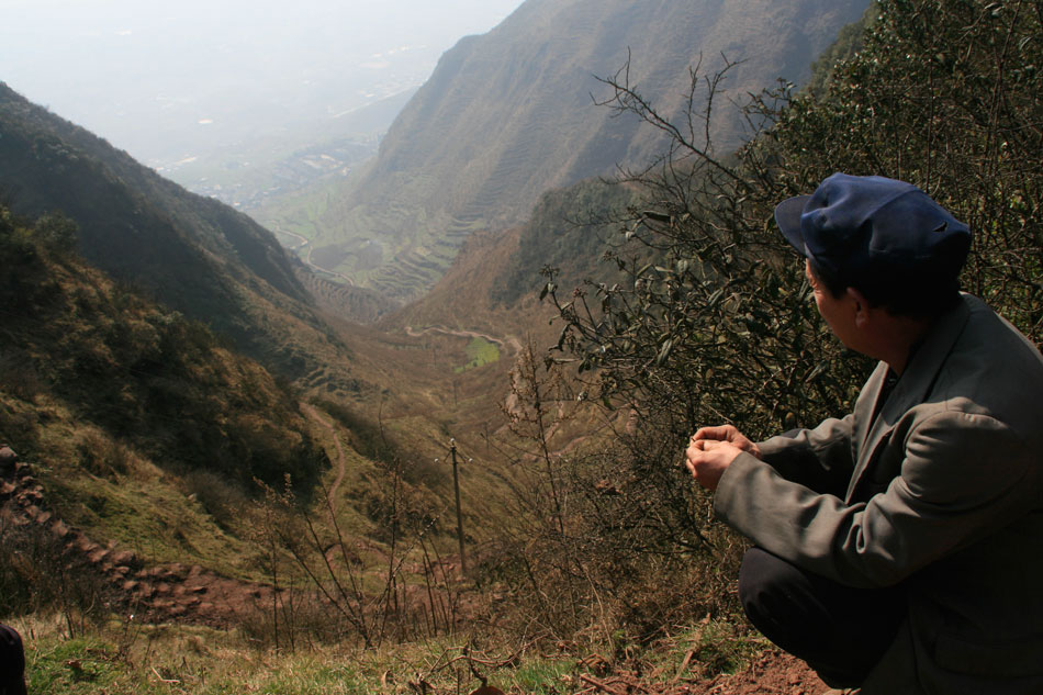 午评：港;股恒!指跌1.21% 科指跌1.66% 科网股走弱 黄金股普跌 半导体板块跌幅居前 阿里巴巴跌超3%
