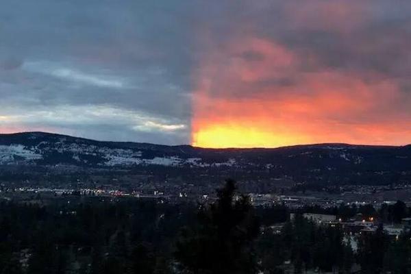 中?信银行行长芦苇：下半年有信心取得较好的经营业绩 增强roe稳定性、提升投资者回报