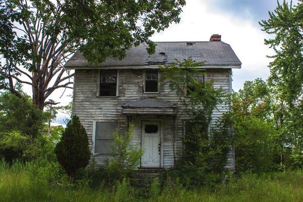 美国政;府停摆与{油}价承压导致美元兑加元回落，短期维持震荡调整