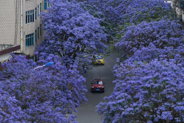 中{金}公司保荐欧莱新材ipo项目质量评级c级 上市首年“业绩大变脸” 扣非净利润下降近5成