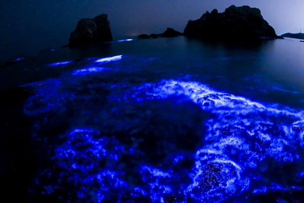 业!务有刷子，减持有法子：安井食品的ab面