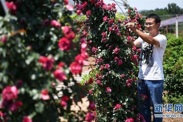 铸:帝:控股：杨振伟获委任为董事会新任主席