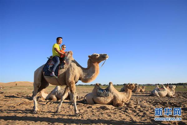 安井,食品入驻澳门市场，全球布局及规模化优势共筑未来增长