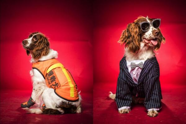 7股尾盘获主力资金爆买;!