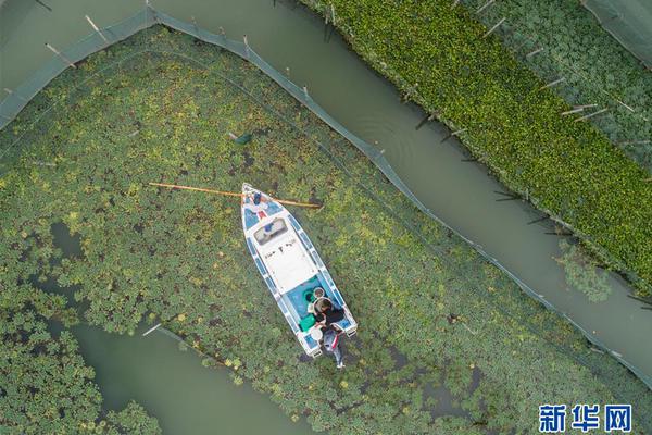冰轮环境—：:8874840股限售股将于9月22日上市流通