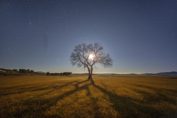 超1.7亿！天津这家{公}司斩获海工大单