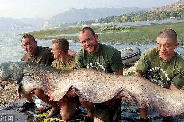 【龙蟠科技】龙{蟠}科!技与宁德时代签署60亿重磅订单，国际化战略迈出关键一步