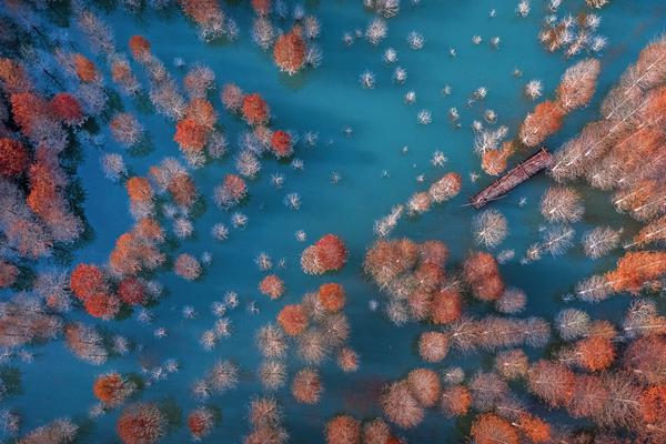 消?息.称美国政府拟收购英特尔约 10% 股份，成为其最大股东