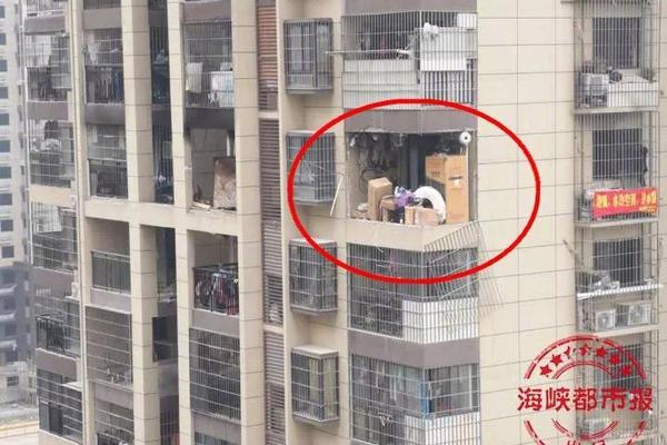 小{鹏}汽车第三季度营收203.8亿元 经调净亏损1.5亿元