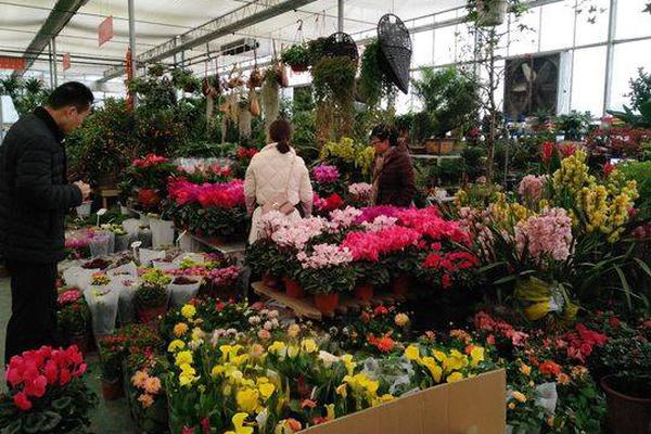 理事沃勒{呼}吁,美联储开放创新 支持数字资产与稳定币