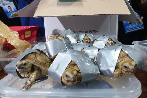 华‘为’超聚变存储服务!器5288v5 海量数据存储热卖