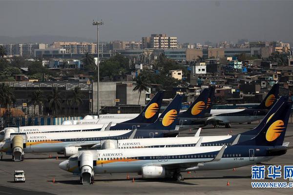 林:芝民营!经济人士热议党的二十届四中全会精神