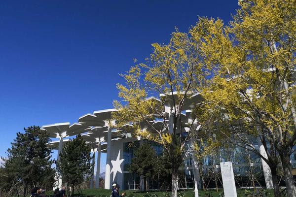 突发{！}闻泰科技第二大股东拟.减持不超过3%公司股份，最多可套现约16亿元