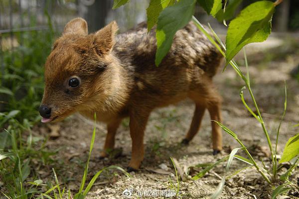 兴发集<团>：目前草甘,膦装置总产能为23万吨/年，整体开工率超过八成