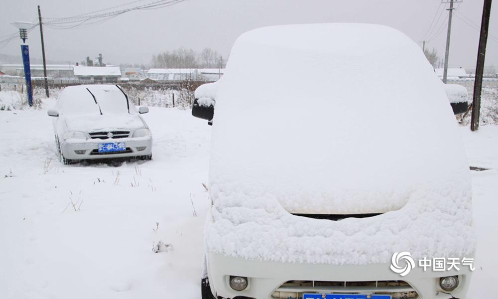 *st正平连收5个涨停板{}<>