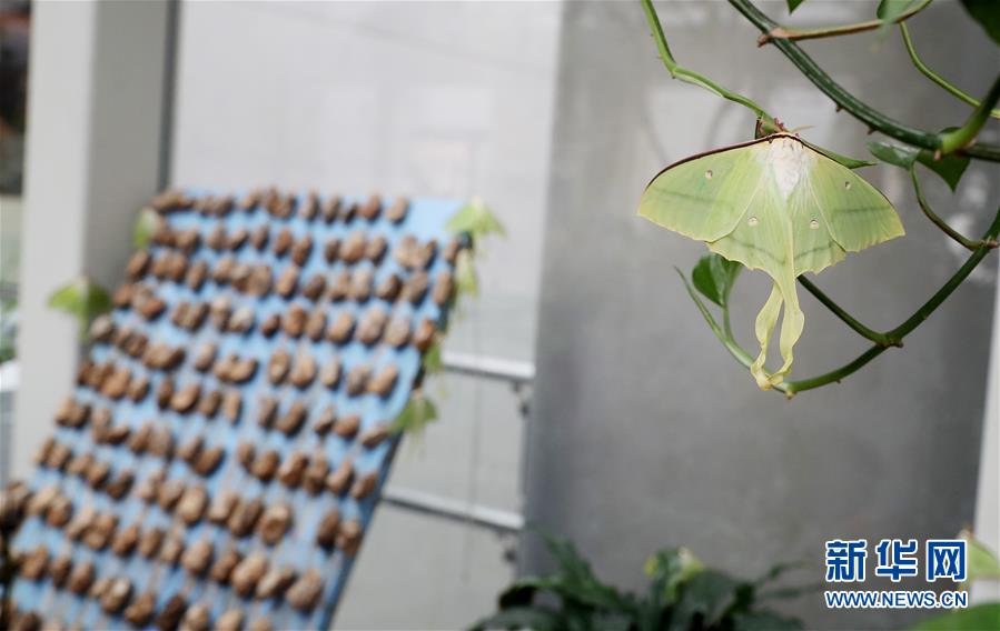 衡水银行.获—批增资6亿元