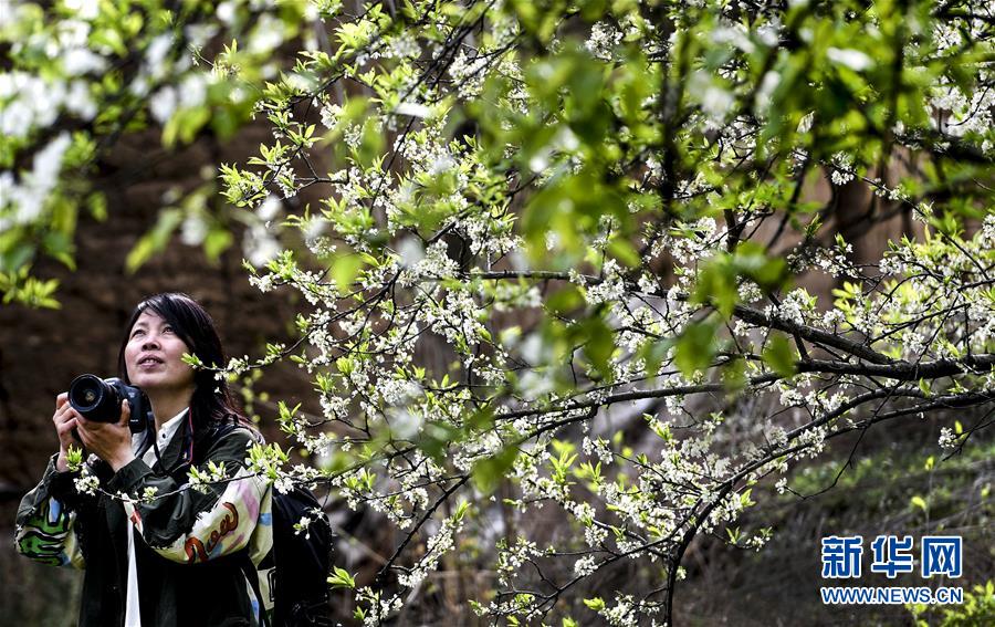 纽约州总检察长就特朗.普5亿美元欺诈罚款被推翻提起上诉