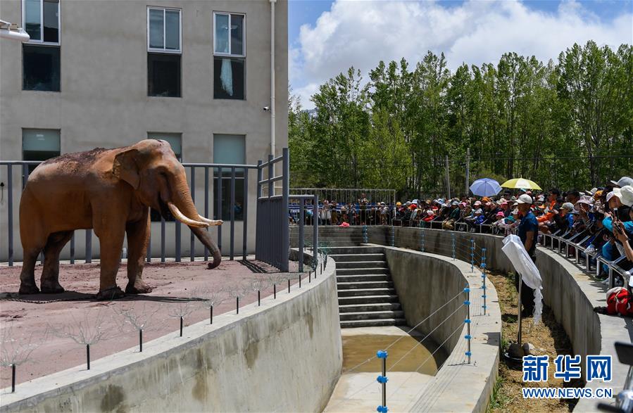 达瑞;电!子：上半年归母净利润1.32亿元，同比增长25.32%