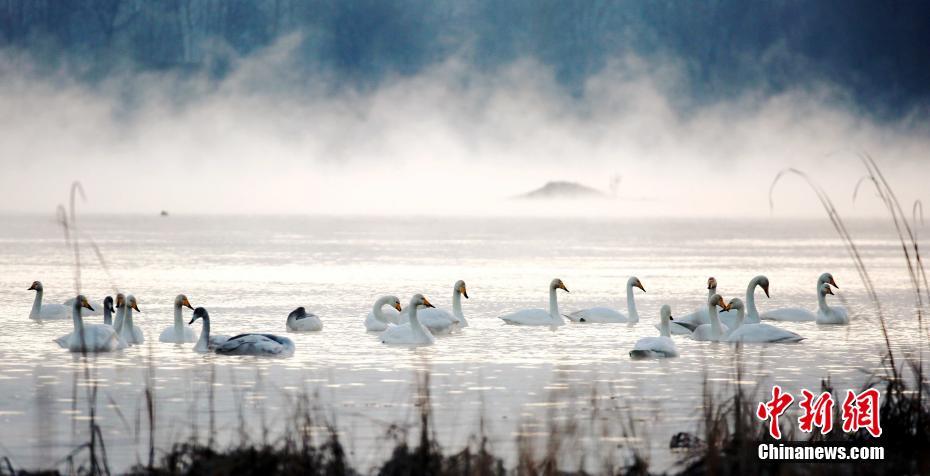 创!新药第二波行情启动？港股通创新药etf爆发！沪指创十年新高，港股信息技术etf（159131）上市首秀“闪耀”