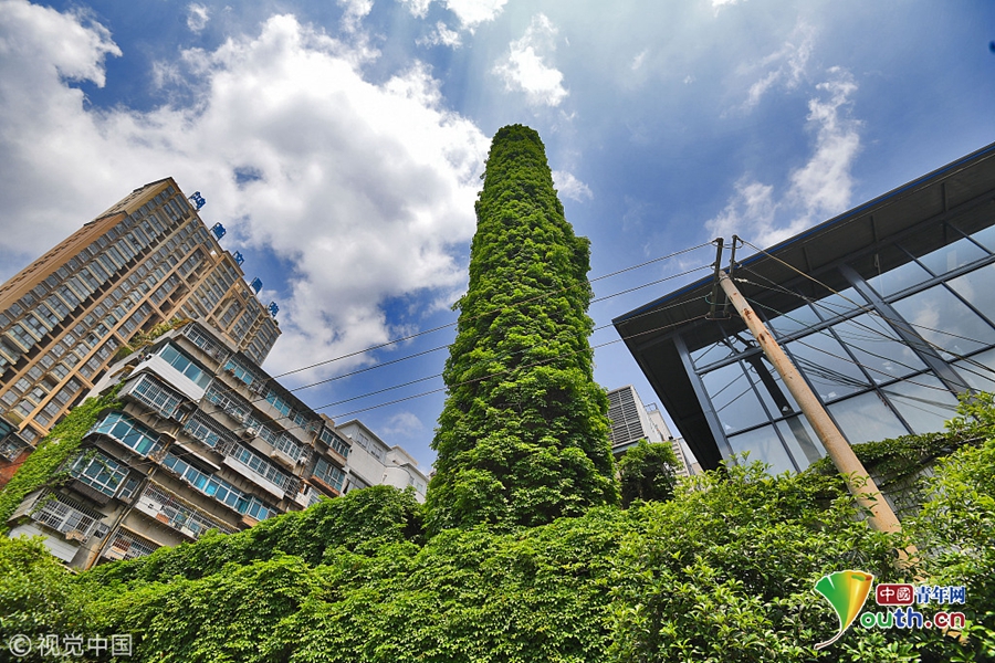 a<i>持续高景气！创业板人工智能etf（159363）午后续涨逾1%，新易盛涨超2%，更有1股20cm涨停