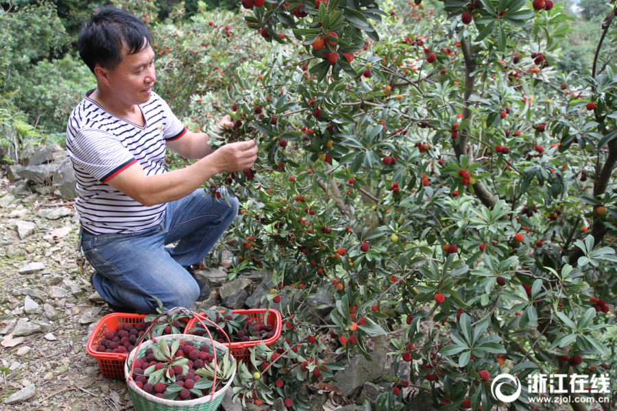 上:海新阳：股东数据<情>况请关注公司定期报告