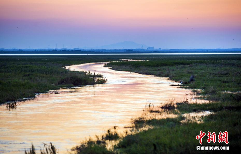 均普<智>能：刘元辞任 选举王剑峰为董事长