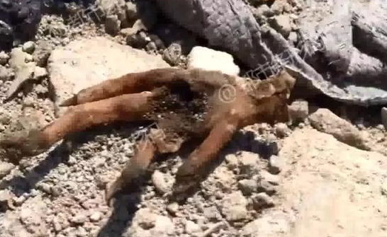 中金：维持安踏!体育跑赢行业;评级 目标价120.92港元